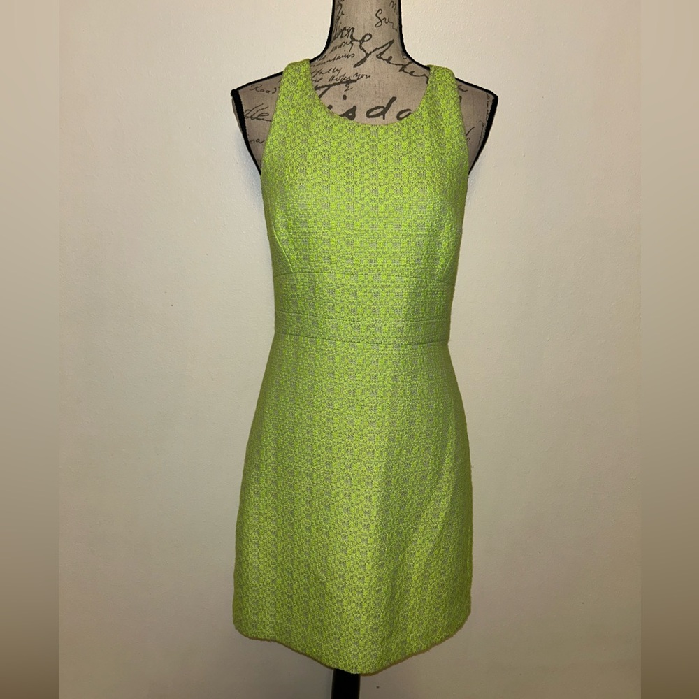 💚J.Crew Stunning Dress💚